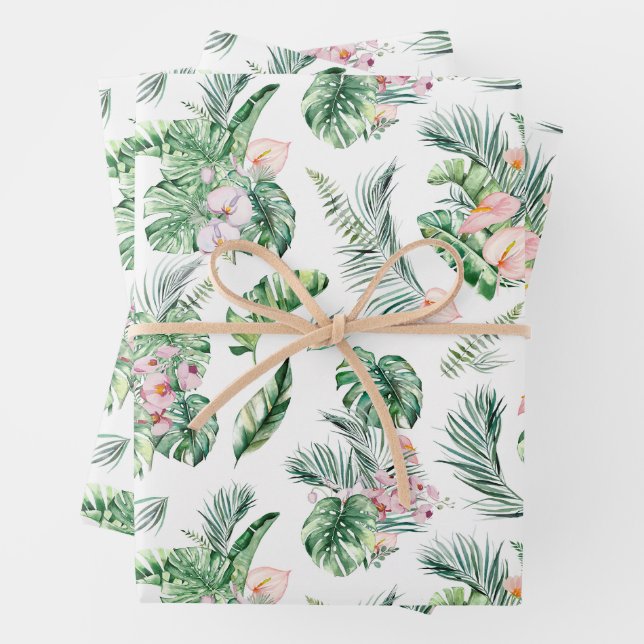 Feuilles tropicaux et fleurs Botanique (En situation)