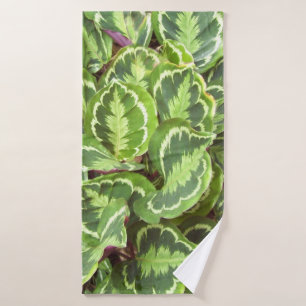 Feuilles verts