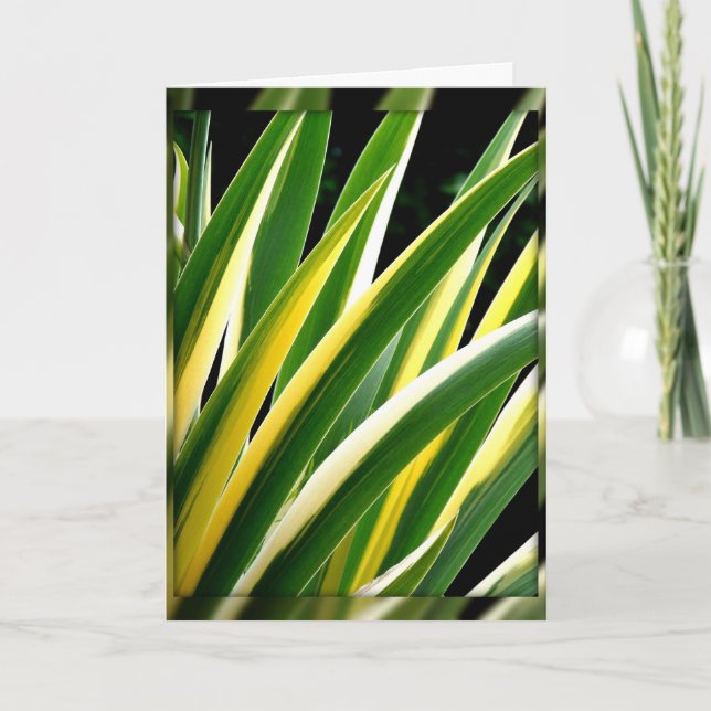 feuilles verts et or sur carte noire (Devant)