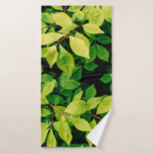 feuilles verts frais ont l'air belle et très natur
