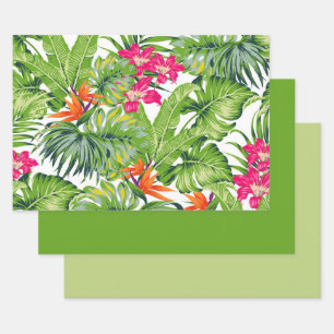 Feuilles verts tropicaux Fleurs rose orange