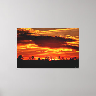 Feuriger Sonnenuntergang hinter schattigen Bäumen Leinwanddruck