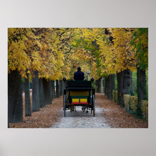 Fiaker in Schönbrunn, Wien Österreich Poster (Vorne)