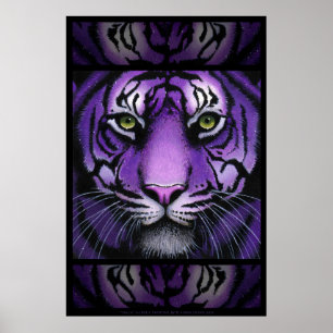 Fiala lila Tiger-wildes Katze Myka Jelina Poster