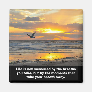 Fiançailles Sunrise Magnet Daytona Beach, FL