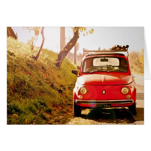 Fiat 500, Cinquecento, Italien (Vorderseite (Horizontal))