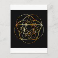 Fibonacci Spiral - Die heilige Geometrie