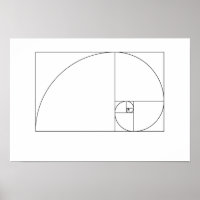 Fibonacci Spiral