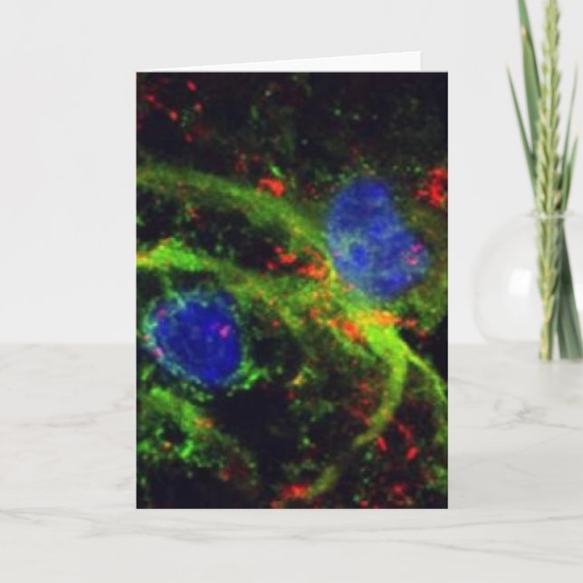 Fibrinogengrußkarte Karte (Vorderseite)