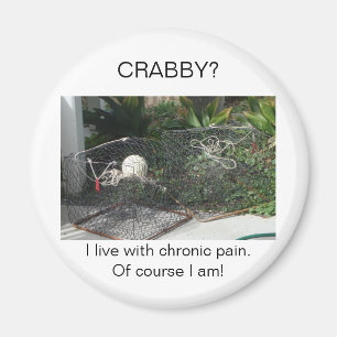 Fibromyalgia Magnet