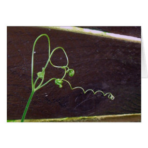 Ficelles du coeur de la nature