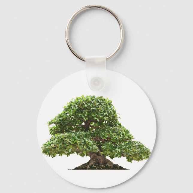 Ficus bonsai abgeschieden schlüsselanhänger (Vorderseite)