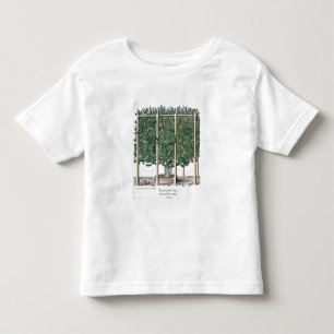 Ficus Indica eystettensis, vom 'Hortus Eystet Kleinkind T-shirt