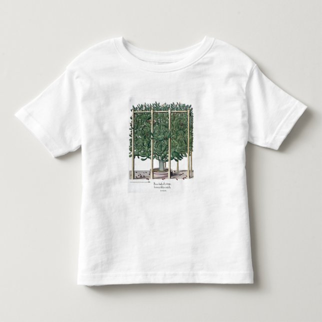 Ficus Indica eystettensis, vom 'Hortus Eystet Kleinkind T-shirt (Vorderseite)