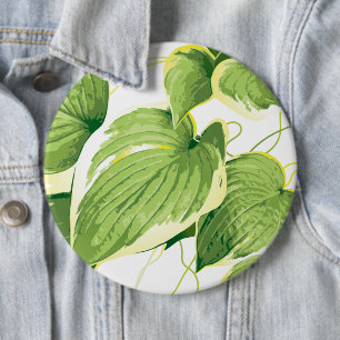 Ficus Pflanze 2 Button