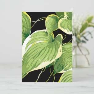 Ficus Pflanze 3 Dankeskarte