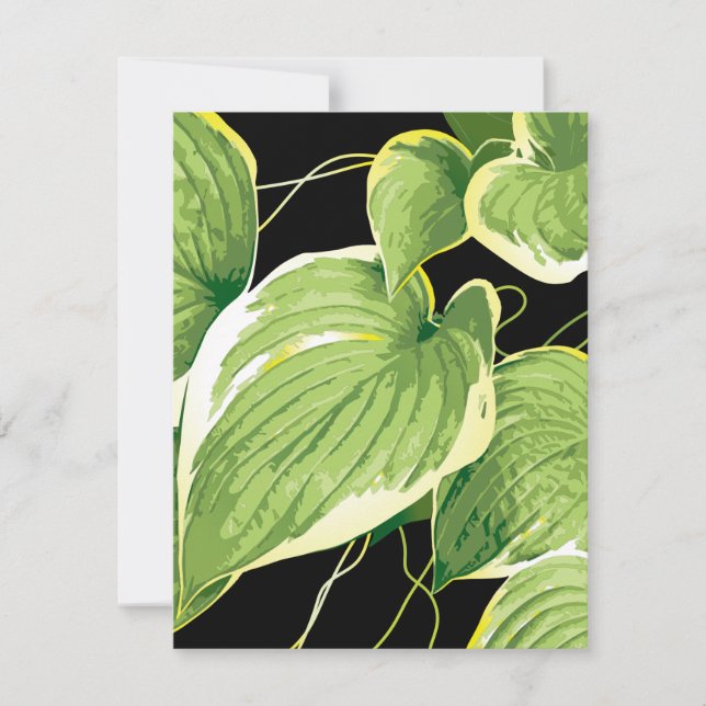 Ficus Pflanze 3 Mitteilungskarte (Vorderseite)