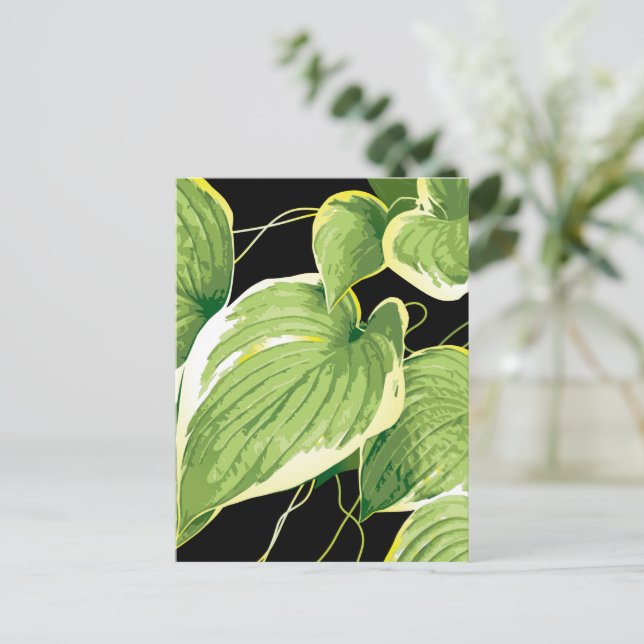 Ficus Pflanze 3 Postkarte (Stehend Vorderseite)