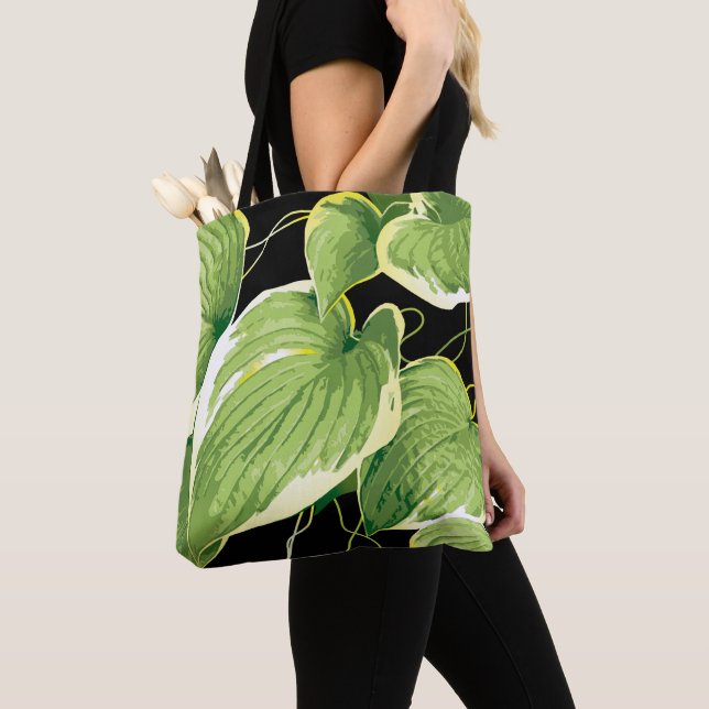 Ficus Pflanze 3 Tasche (Von Nahem)