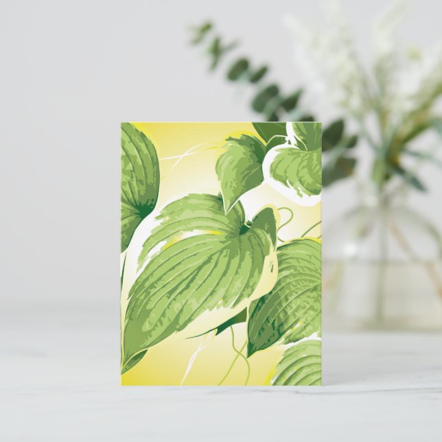 Ficus Pflanze 4 Postkarte (Stehend Vorderseite)