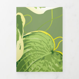 Ficus Pflanze 5 Dreifach Gefaltete Urlaubskarte