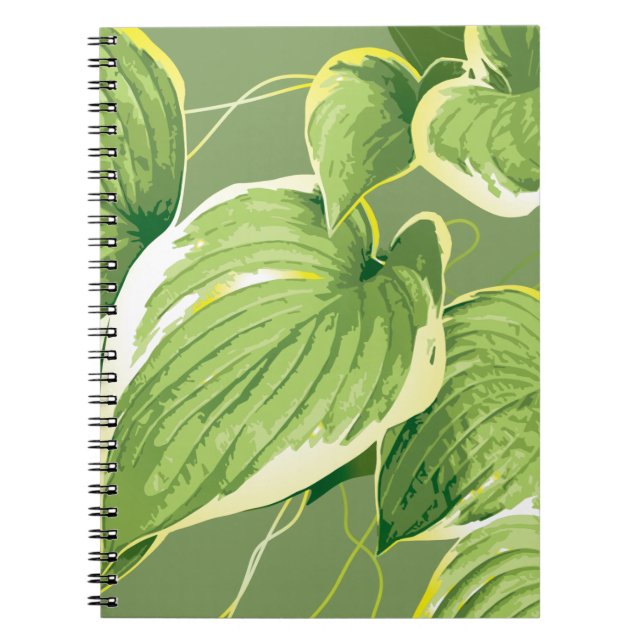 Ficus Pflanze 5 Notizblock (Vorderseite)