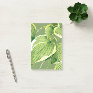 Ficus Pflanze 5 Post-it Klebezettel