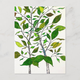 Ficus-Pflanze Farbstift Baumzeichnung Postkarte