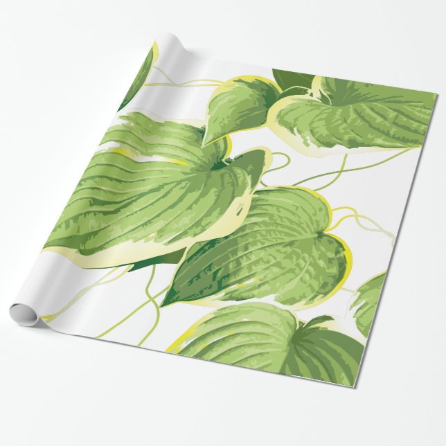 Ficus Pflanze Geschenkpapier (Ungerollt)