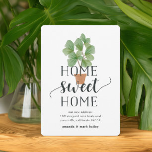 Fiddle Leaf Fig   Ankündigung der Beförderung