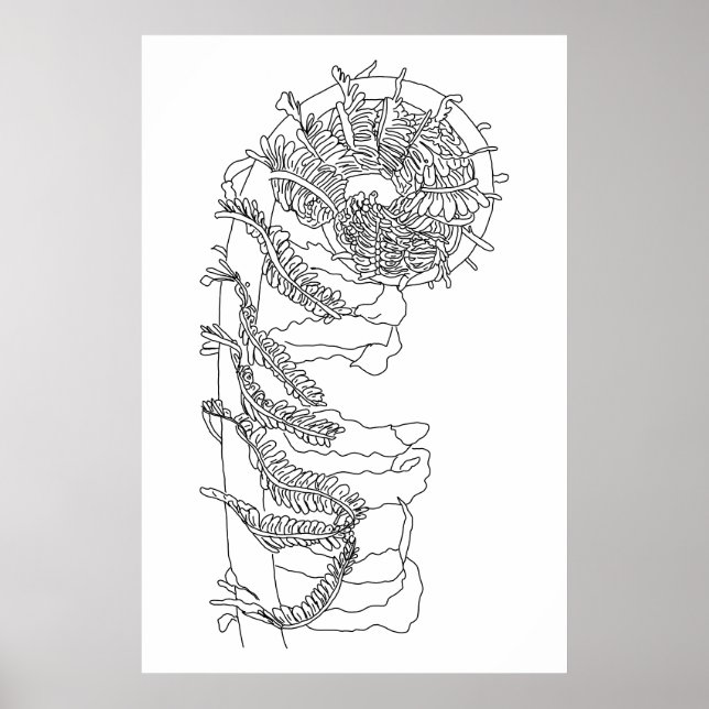 Fiddlehead Fern Illustration Poster (Vorne)
