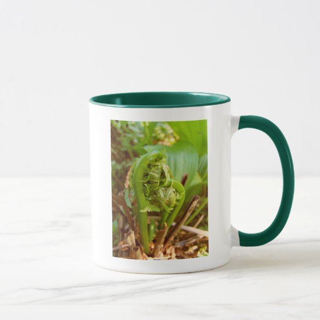 Fiddleheads Tasse (Rechts)