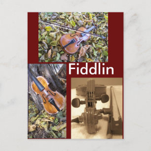 fiddlin fanatische Postkarte