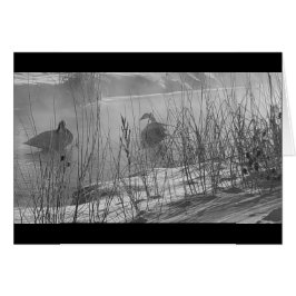 Fidelity ~ Winter swans card