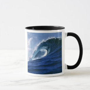 Fidschi-Inseln, Tavarua, Cloudbreak. Eine Welle Tasse