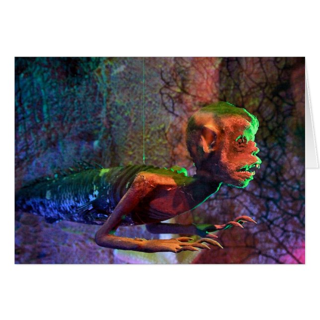 Fidschi-Meerjungfrau (Vorderseite (Horizontal))