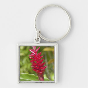 Fidschi, Viti Levu Insel. Blume. Schlüsselanhänger