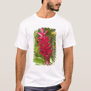 Fidschi, Viti-Levu-Insel. Blume. T-Shirt