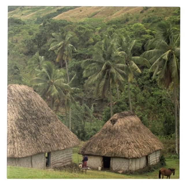 Fidschi, Viti Levu, Navala, traditionelle Häuser d Fliese (Vorderseite)