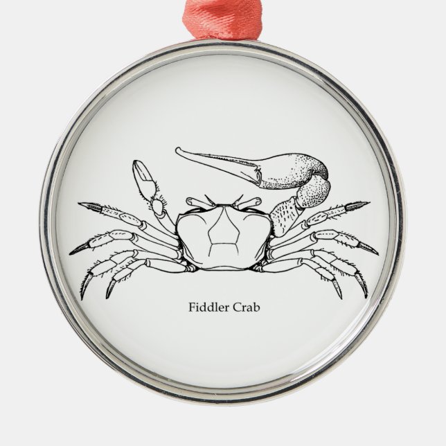 Fiedler-Krabben-Illustration (Linie Kunst) Silbernes Ornament (Vorne)