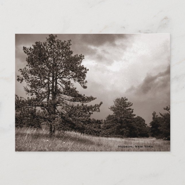 Field and Tree Foto, Hudson, New York Postkarte (Vorderseite)