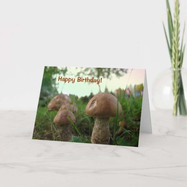 Field Mushrooms Happy Birthday Karte (Vorderseite)