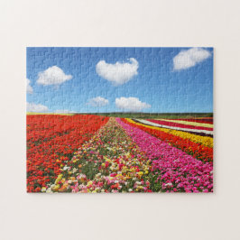 Field of Flowers