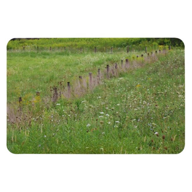 FIeld of Wildblumen Magnet (Horizontal)