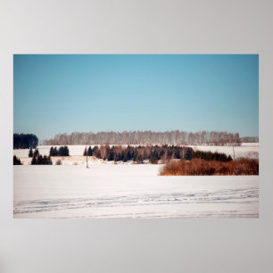 Fields and forests of central Russia. architecture Poster