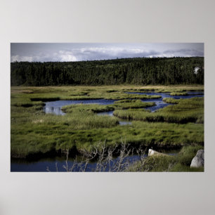 Fields and Stream Fine Art Print Poster