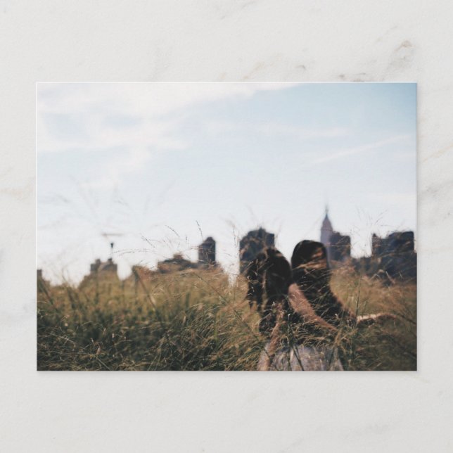 Fields of Gold NYC LIC Nature Portrait Foto Postkarte (Vorderseite)