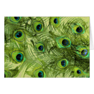 Fier comme un ensemble de paon 1115