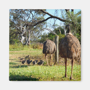 Fier Parents Emu, Aimant Frigo