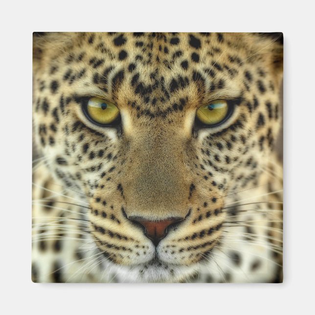 Fierce Leopard Magnet (Vorne)